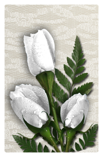 DF35T 060 2 Roses White